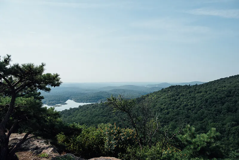 Norvin Green State Forest